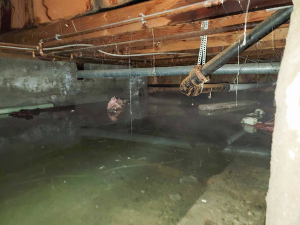 Best Water damage restoration services  in Sparks, TX