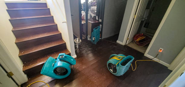 Best Water damage contractors near me  in Sparks, TX