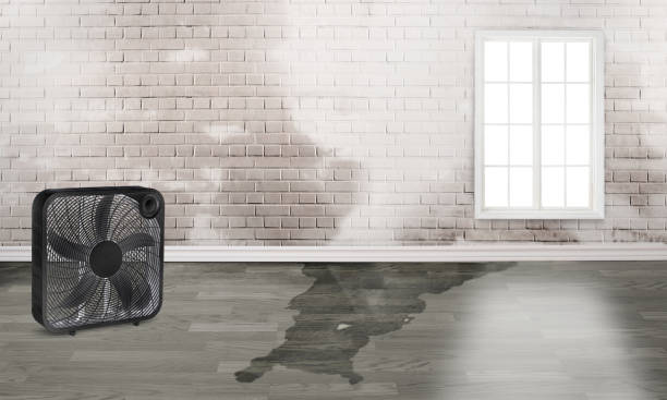 Best Flood damage cleanup  in Sparks, TX