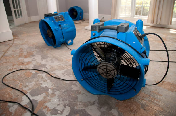 Best Professional water damage repair  in Sparks, TX