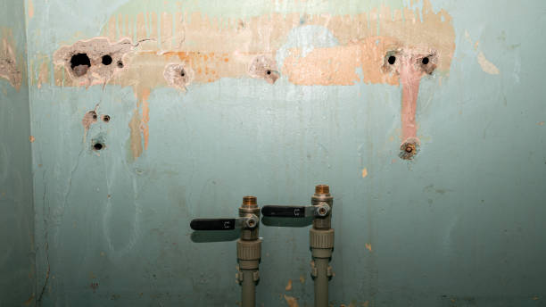 Best Professional water damage repair  in Sparks, TX