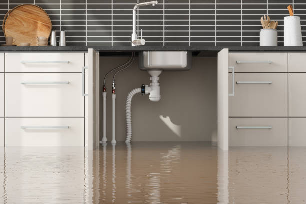Best Flooded house restoration  in Sparks, TX