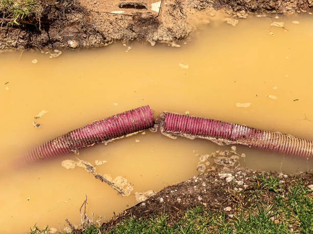Best Carpet water damage restoration  in Sparks, TX