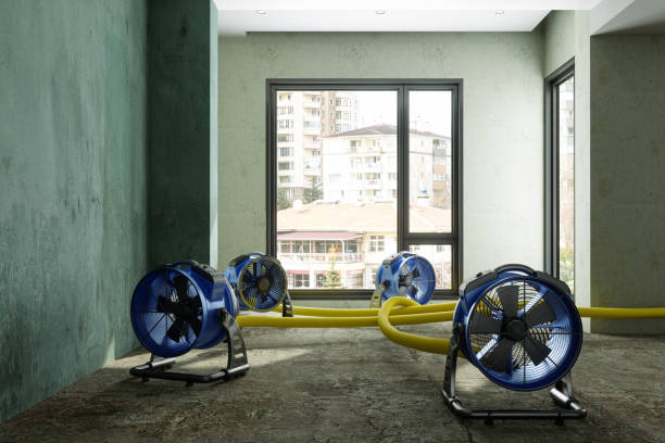 Best Water damage cleanup near me  in Sparks, TX